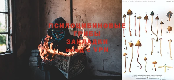 героин Алзамай