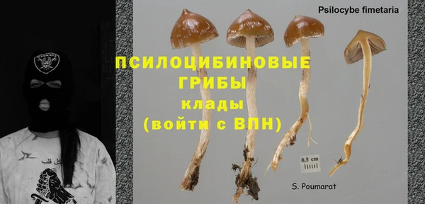таблы Алексин