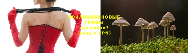 таблы Алексин